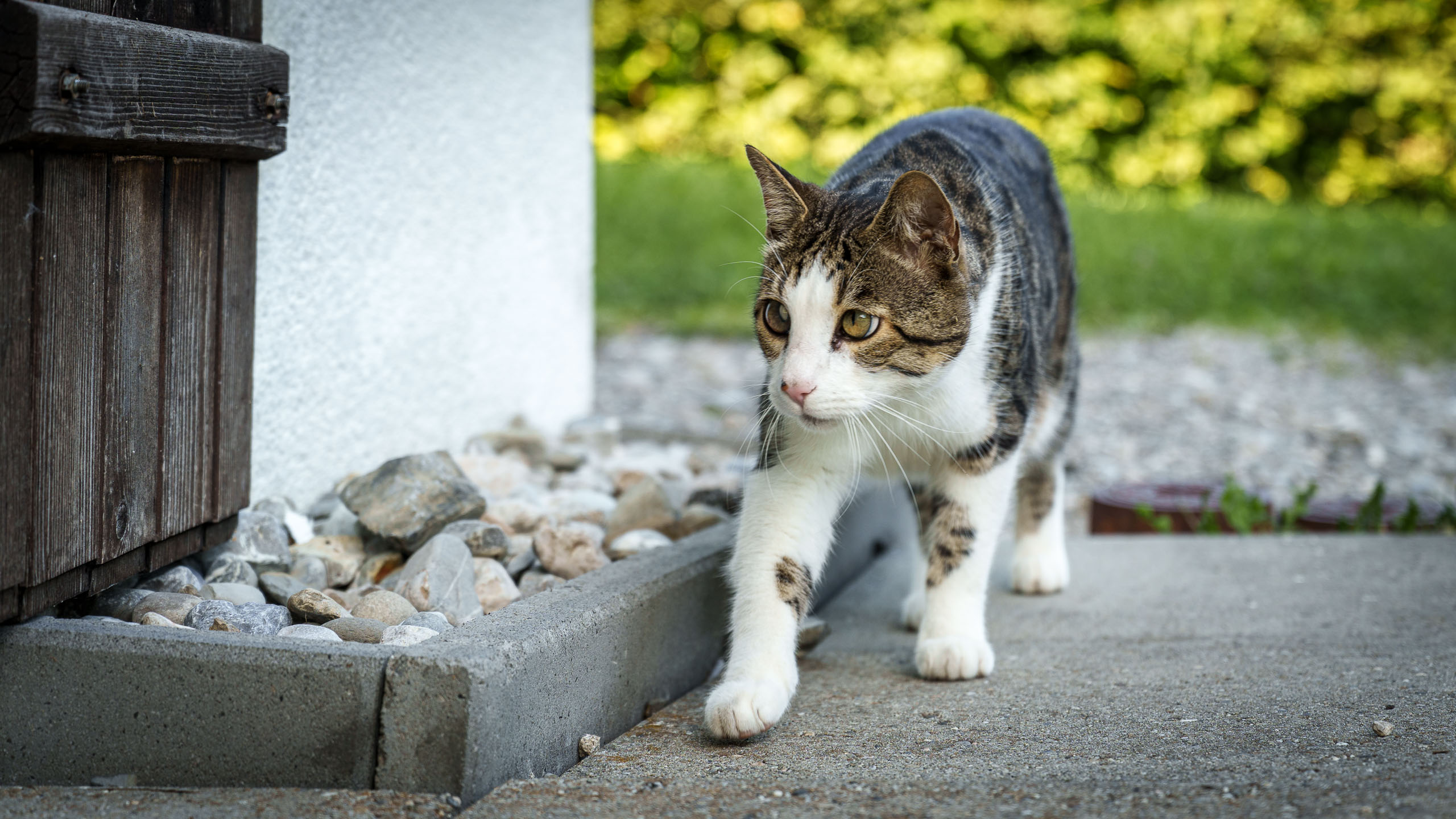 Erste Annäherungsversuche...